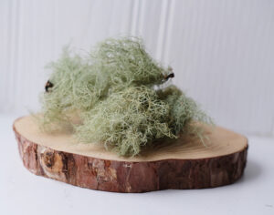 Benefits and Uses of Usnea Lichen